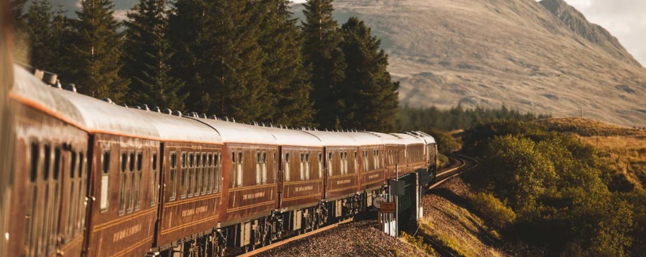 Kiraz and Francesco's Wedding